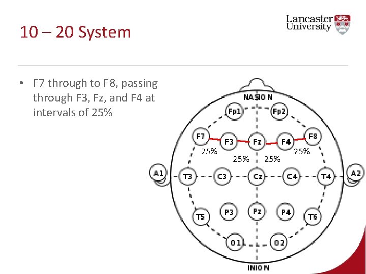 10 – 20 System • F 7 through to F 8, passing through F 10 – 20 System • F 7 through to F 8, passing through F