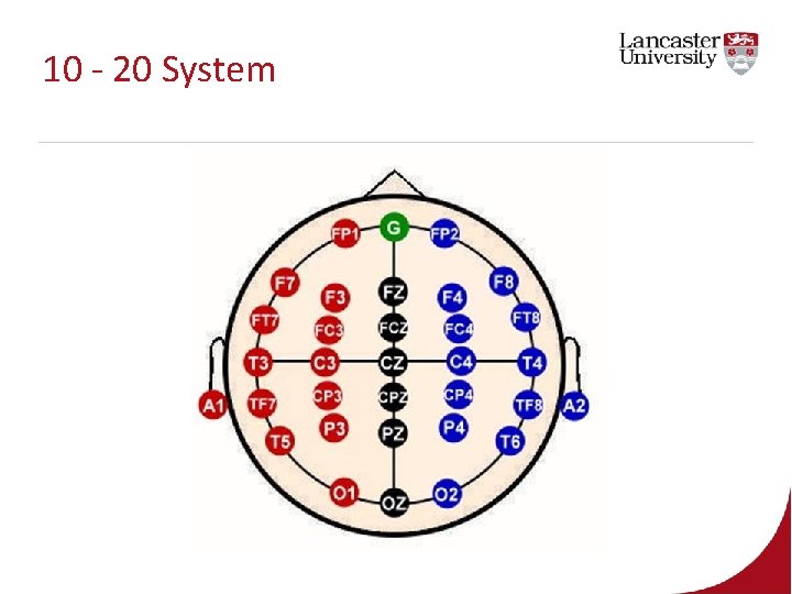 10 - 20 System 10 - 20 System