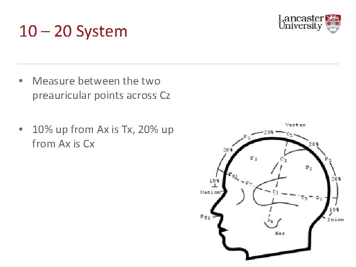 10 – 20 System • Measure between the two preauricular points across Cz • 10 – 20 System • Measure between the two preauricular points across Cz •