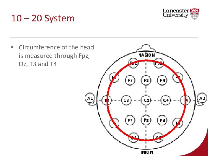 10 – 20 System • Circumference of the head is measured through Fpz, Oz, 10 – 20 System • Circumference of the head is measured through Fpz, Oz,