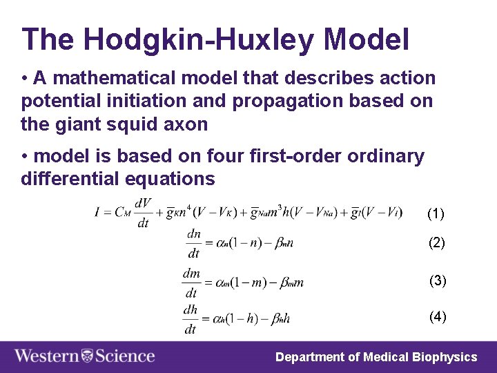 The Hodgkin-Huxley Model • A mathematical model that describes action potential initiation and propagation