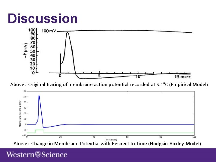 Discussion Above: Original tracing of membrane action potential recorded at 9. 1°C (Empirical Model)