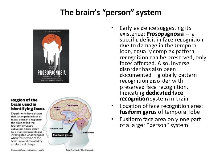 The brain’s “person” system • Early evidence suggesting its existence: Prosopagnosia -- a specific