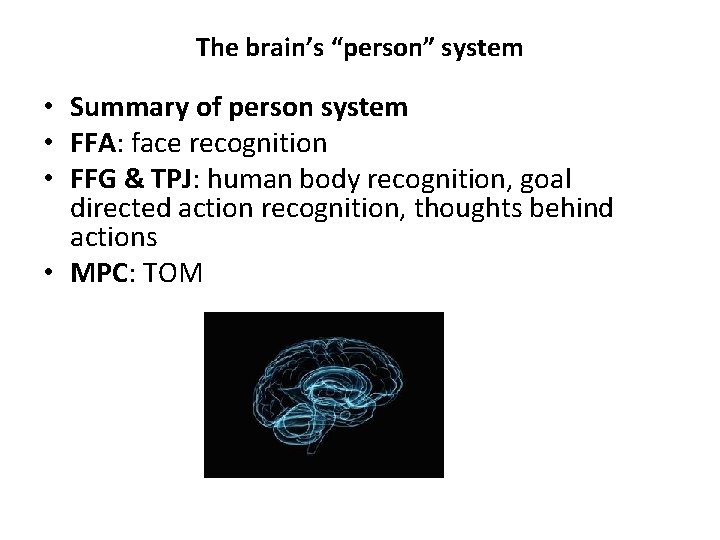 The brain’s “person” system • Summary of person system • FFA: face recognition •