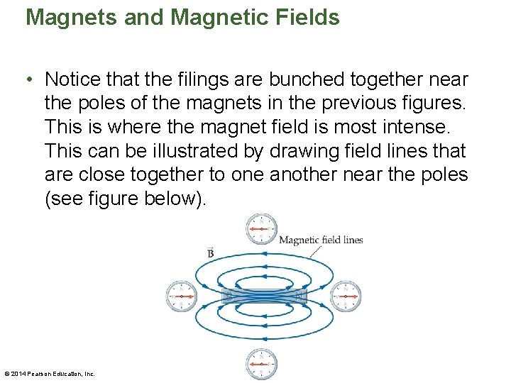 Magnets and Magnetic Fields • Notice that the filings are bunched together near the