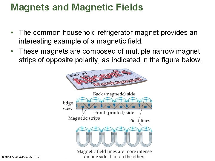 Magnets and Magnetic Fields • The common household refrigerator magnet provides an interesting example