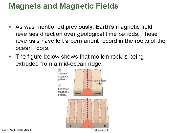 Magnets and Magnetic Fields • As was mentioned previously, Earth's magnetic field reverses direction