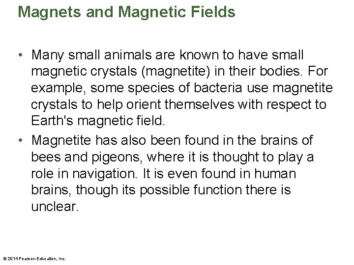 Magnets and Magnetic Fields • Many small animals are known to have small magnetic