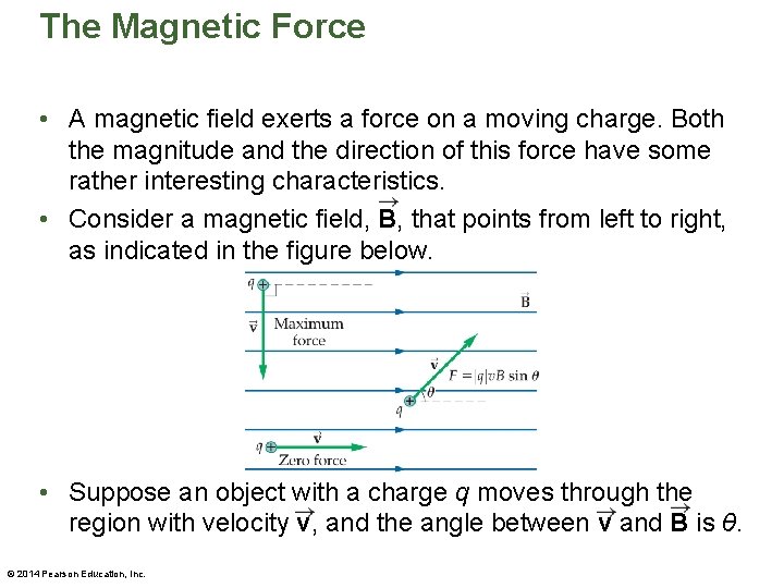 The Magnetic Force • A magnetic field exerts a force on a moving charge.