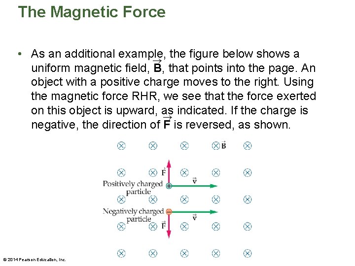 The Magnetic Force • As an additional example, the figure below shows a uniform