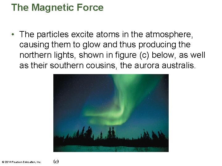 The Magnetic Force • The particles excite atoms in the atmosphere, causing them to