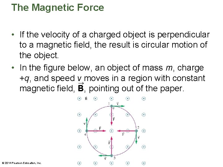 The Magnetic Force • If the velocity of a charged object is perpendicular to