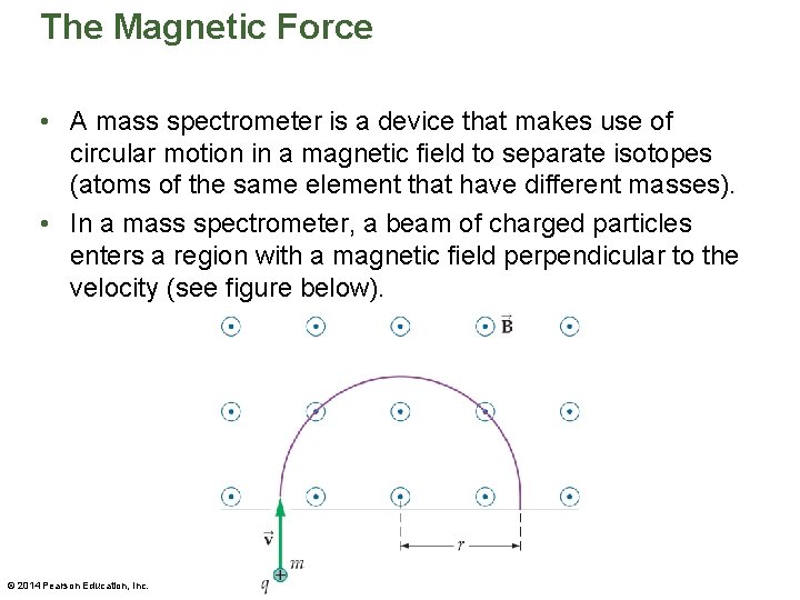 The Magnetic Force • A mass spectrometer is a device that makes use of