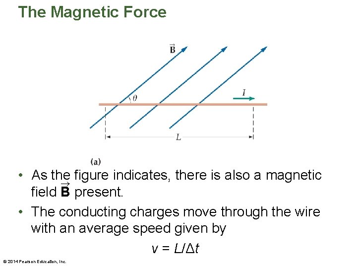 The Magnetic Force • As the figure indicates, there is also a magnetic field