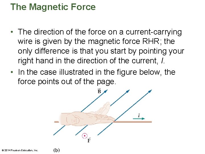 The Magnetic Force • The direction of the force on a current-carrying wire is