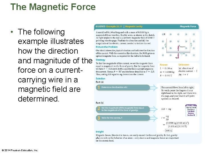 The Magnetic Force • The following example illustrates how the direction and magnitude of