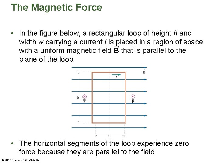 The Magnetic Force • In the figure below, a rectangular loop of height h