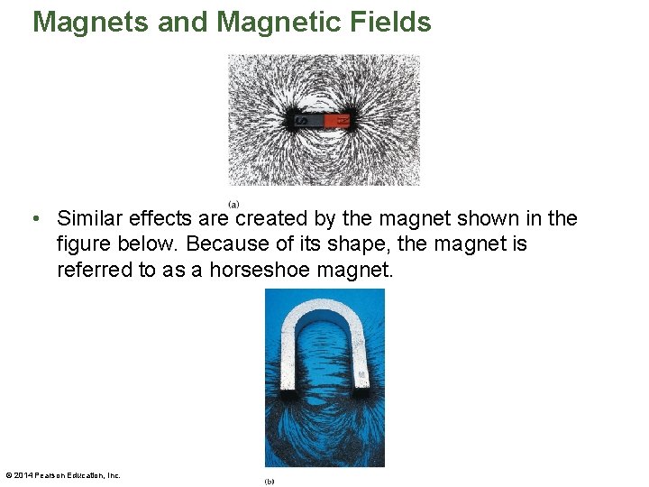 Magnets and Magnetic Fields • Similar effects are created by the magnet shown in