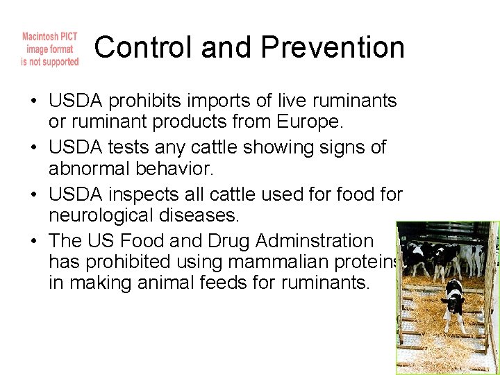 Control and Prevention • USDA prohibits imports of live ruminants or ruminant products from