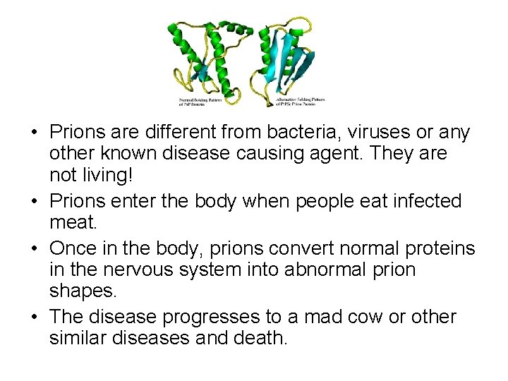  • Prions are different from bacteria, viruses or any other known disease causing