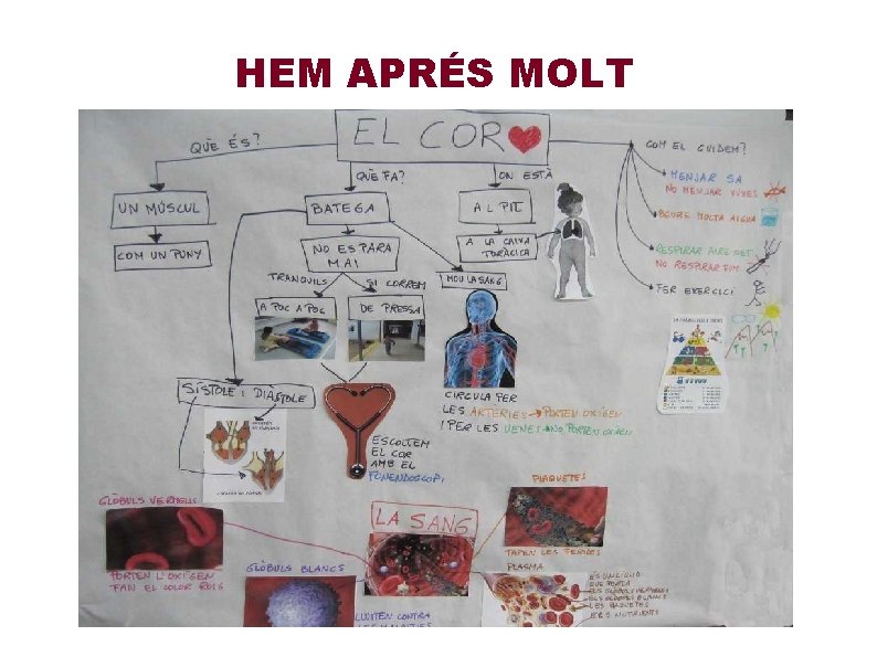 HEM APRÉS MOLT 