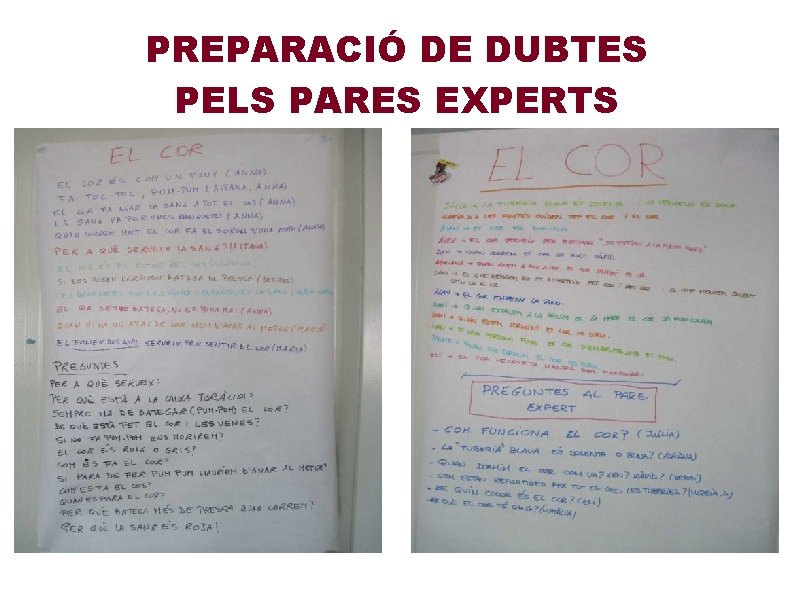 PREPARACIÓ DE DUBTES PELS PARES EXPERTS 