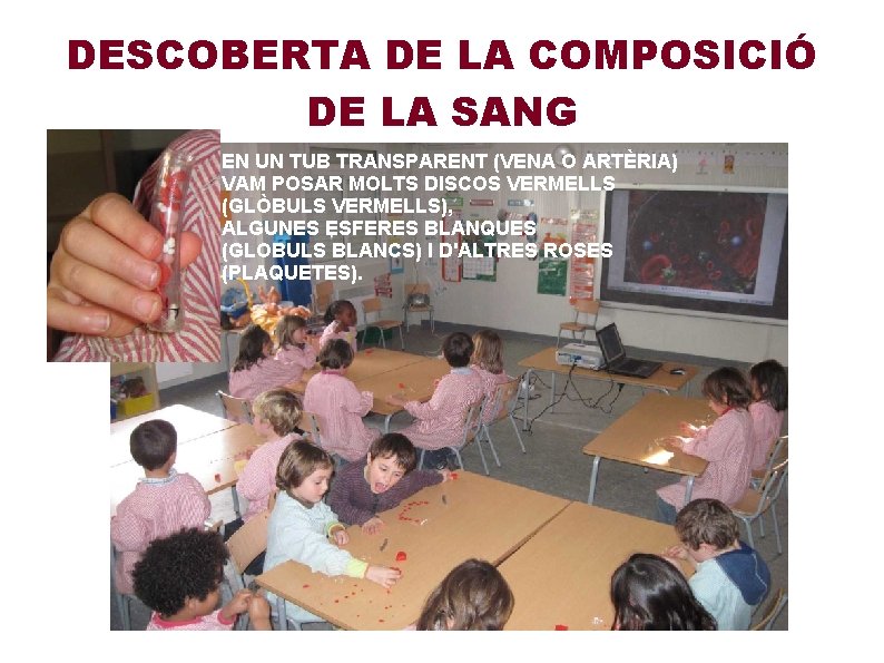 DESCOBERTA DE LA COMPOSICIÓ DE LA SANG EN UN TUB TRANSPARENT (VENA O ARTÈRIA)
