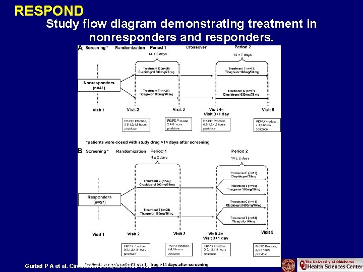 RESPOND Study flow diagram demonstrating treatment in nonresponders and responders. Gurbel P A et