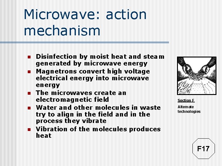 Microwave: action mechanism n n n Disinfection by moist heat and steam generated by