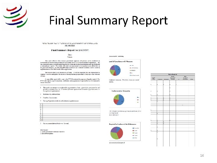 Final Summary Report 16 