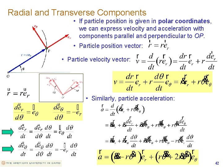 Radial and Transverse Components • If particle position is given in polar coordinates, we