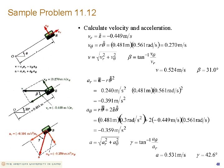 Sample Problem 11. 12 • Calculate velocity and acceleration. 48 