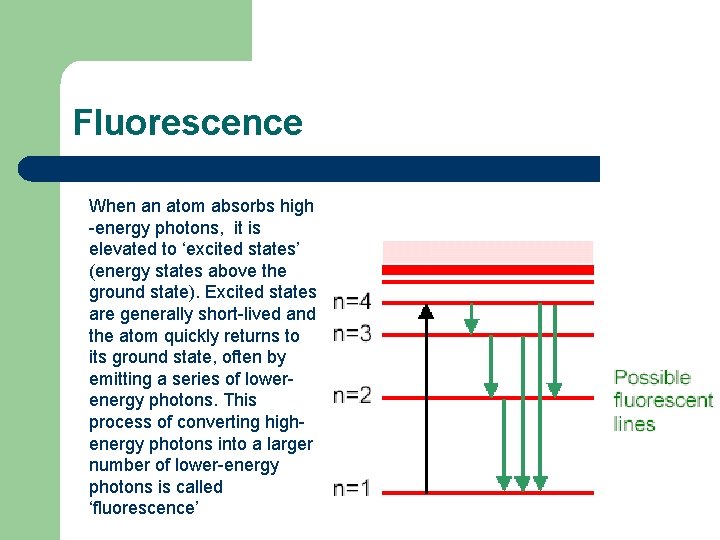 Fluorescence When an atom absorbs high -energy photons, it is elevated to ‘excited states’