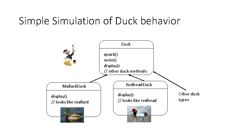 Simple Simulation of Duck behavior Duck quack() swim() display() // other duck methods Mallard.