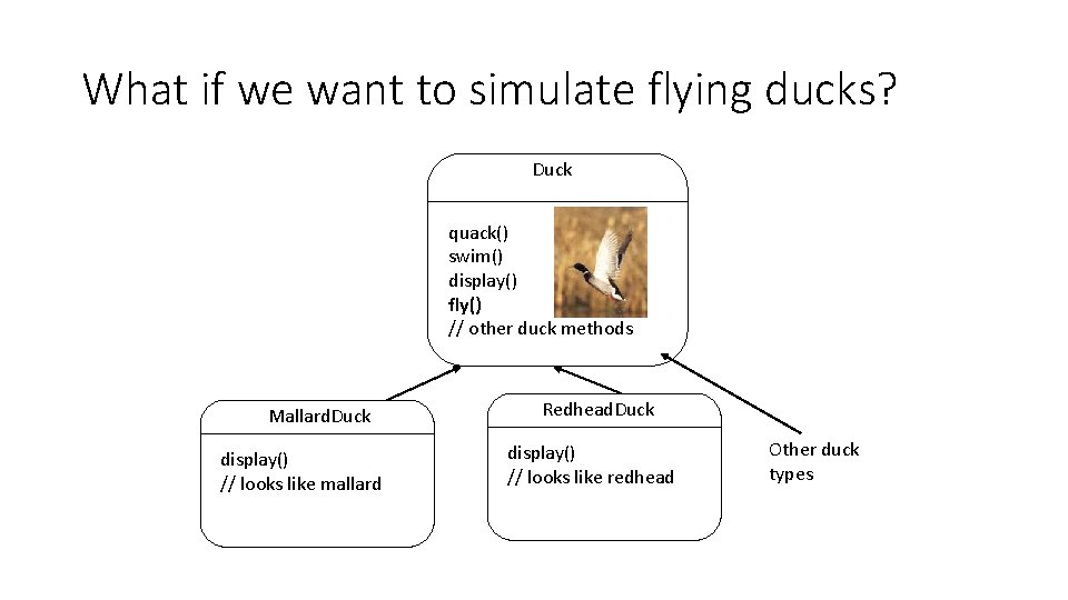 What if we want to simulate flying ducks? Duck quack() swim() display() fly() //