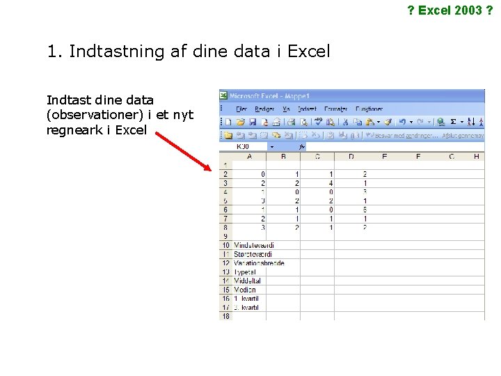 ? Excel 2003 ? 1. Indtastning af dine data i Excel Indtast dine data