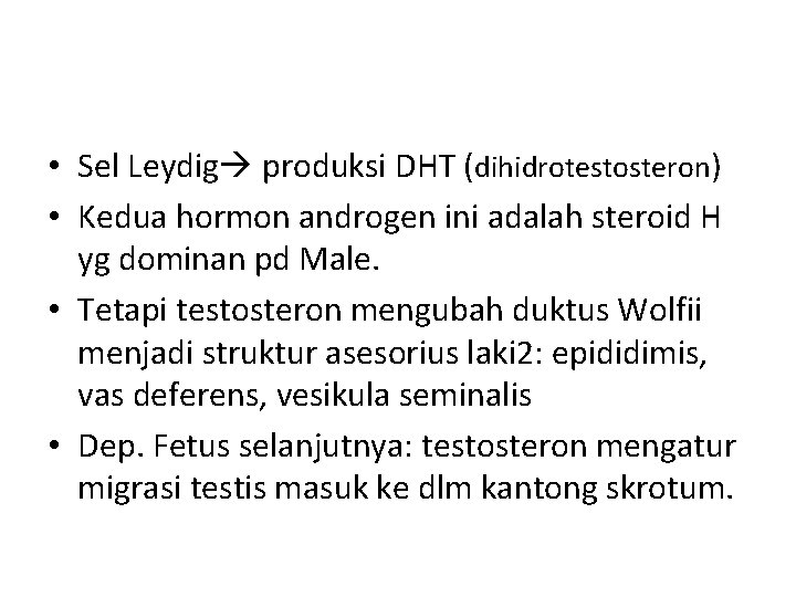  • Sel Leydig produksi DHT (dihidrotestosteron) • Kedua hormon androgen ini adalah steroid