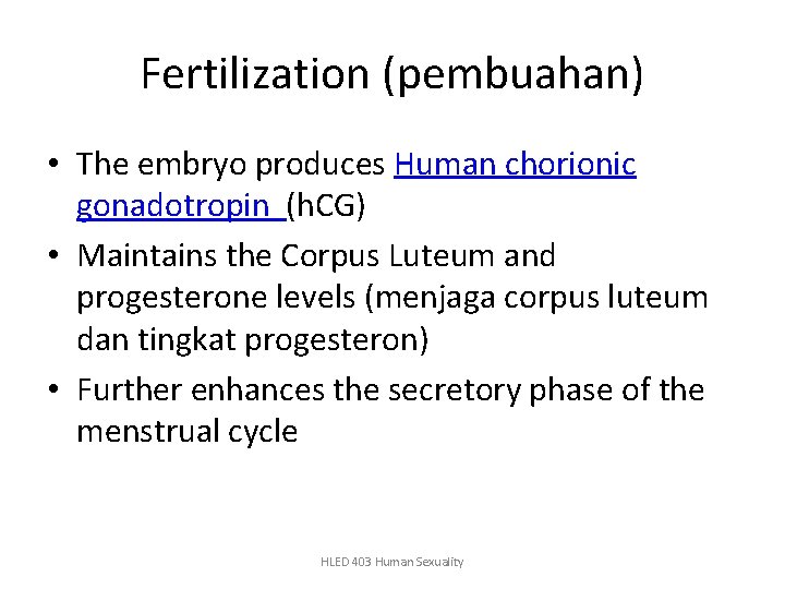 Fertilization (pembuahan) • The embryo produces Human chorionic gonadotropin (h. CG) • Maintains the