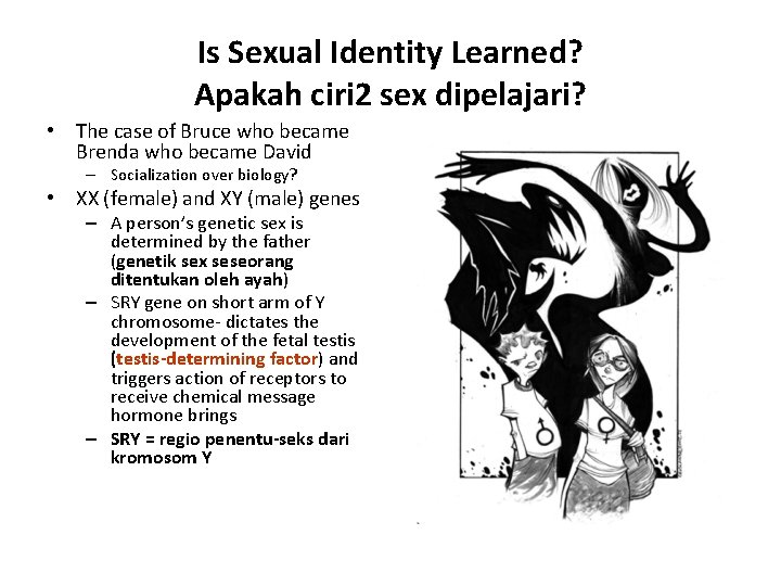 Is Sexual Identity Learned? Apakah ciri 2 sex dipelajari? • The case of Bruce