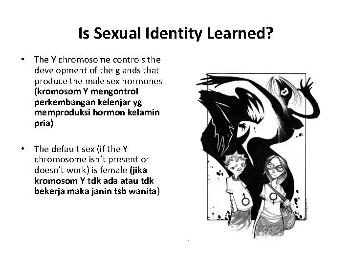 Is Sexual Identity Learned? • The Y chromosome controls the development of the glands