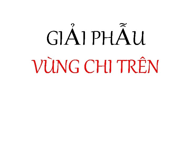 GIẢI PHẪU VÙNG CHI TRÊN 