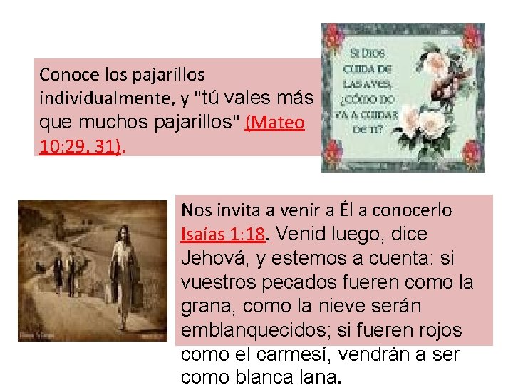 Conoce los pajarillos individualmente, y "tú vales más que muchos pajarillos" (Mateo 10: 29,