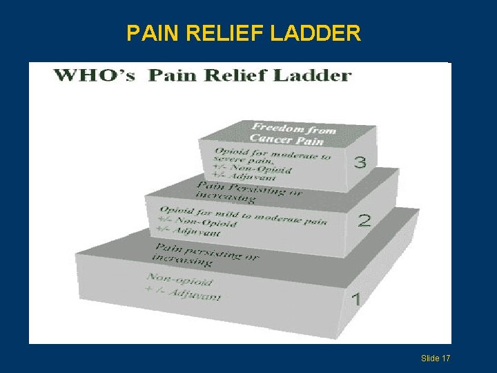 PAIN RELIEF LADDER Slide 17 