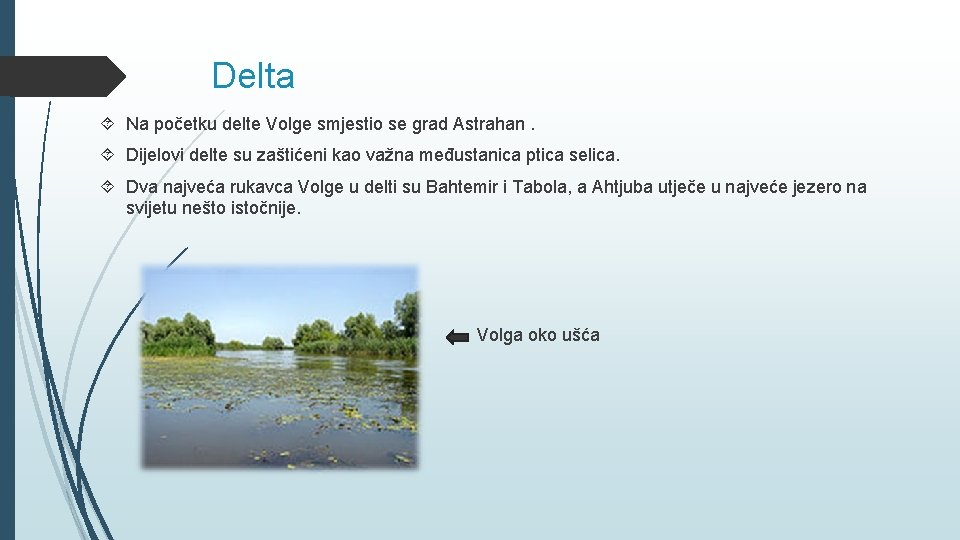  Delta Na početku delte Volge smjestio se grad Astrahan. Dijelovi delte su zaštićeni