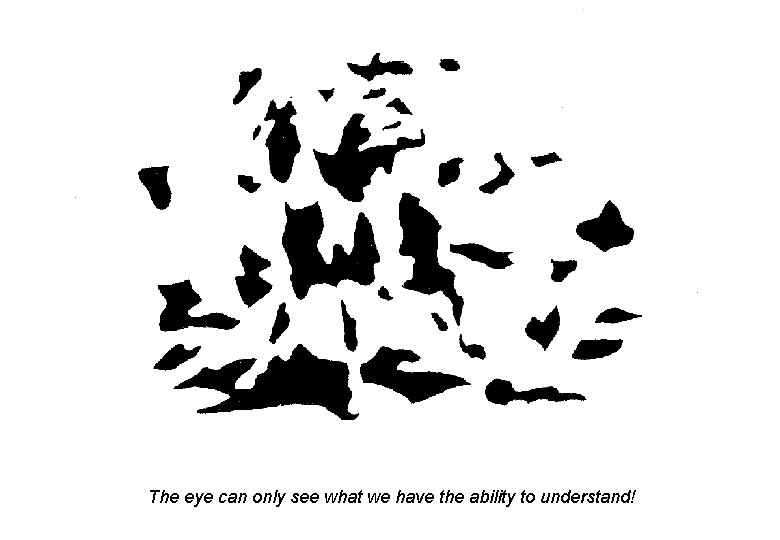 The eye can only see what we have the ability to understand! 