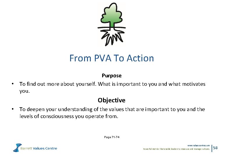 From PVA To Action Purpose • To find out more about yourself. What is