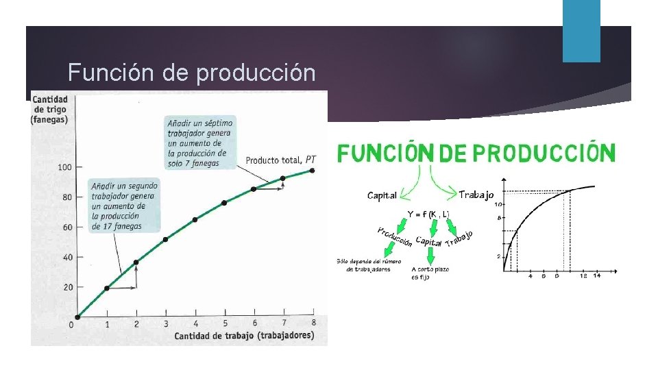 Función de producción 