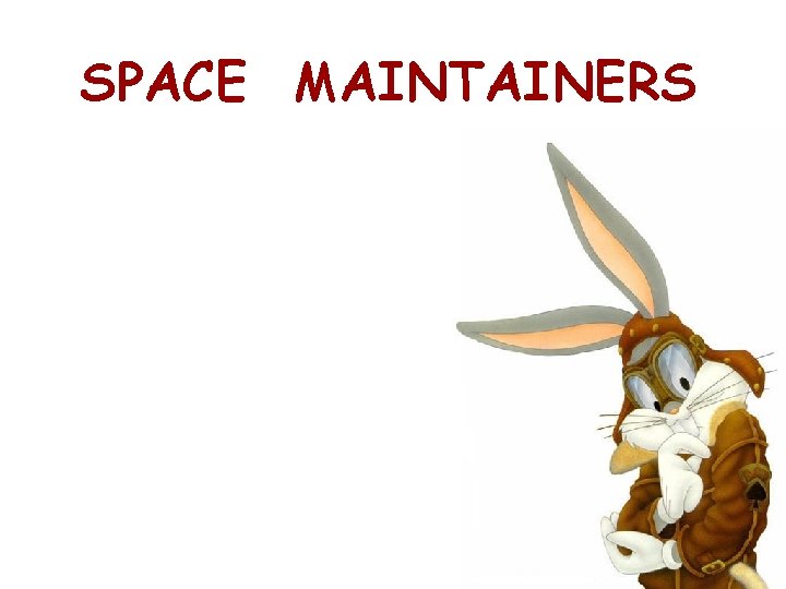 SPACE MAINTAINERS 