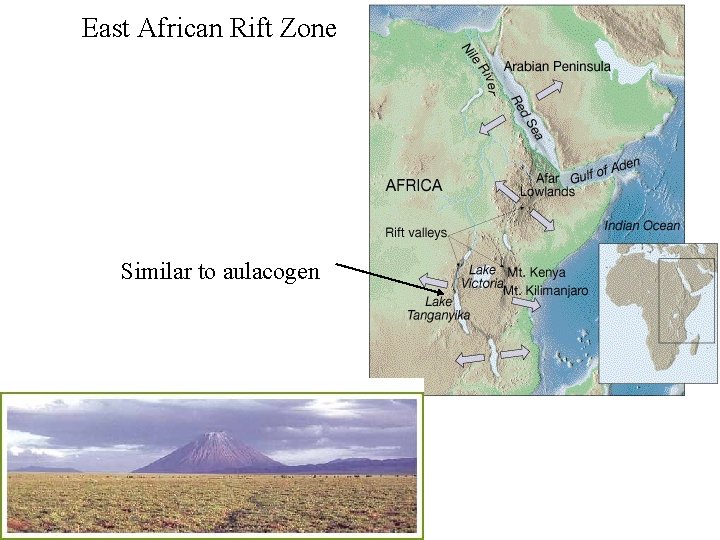 East African Rift Zone Similar to aulacogen 