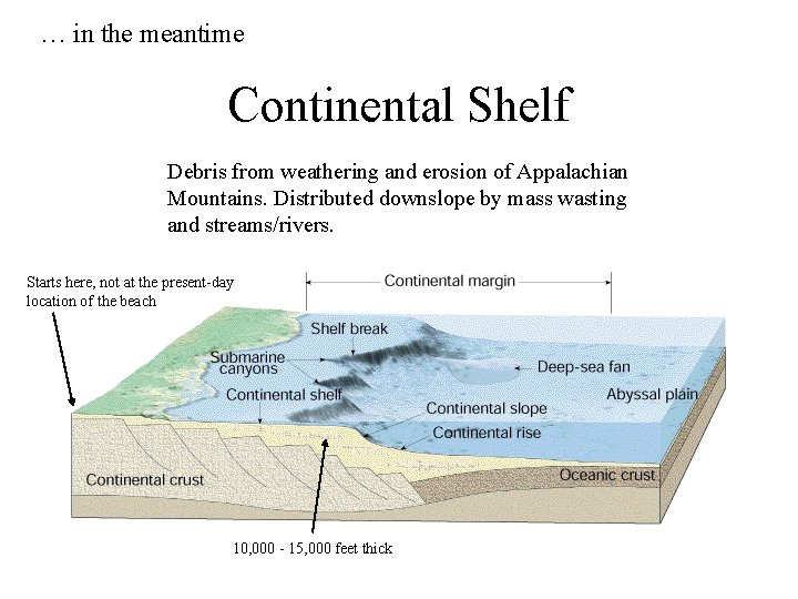 … in the meantime Continental Shelf Debris from weathering and erosion of Appalachian Mountains.